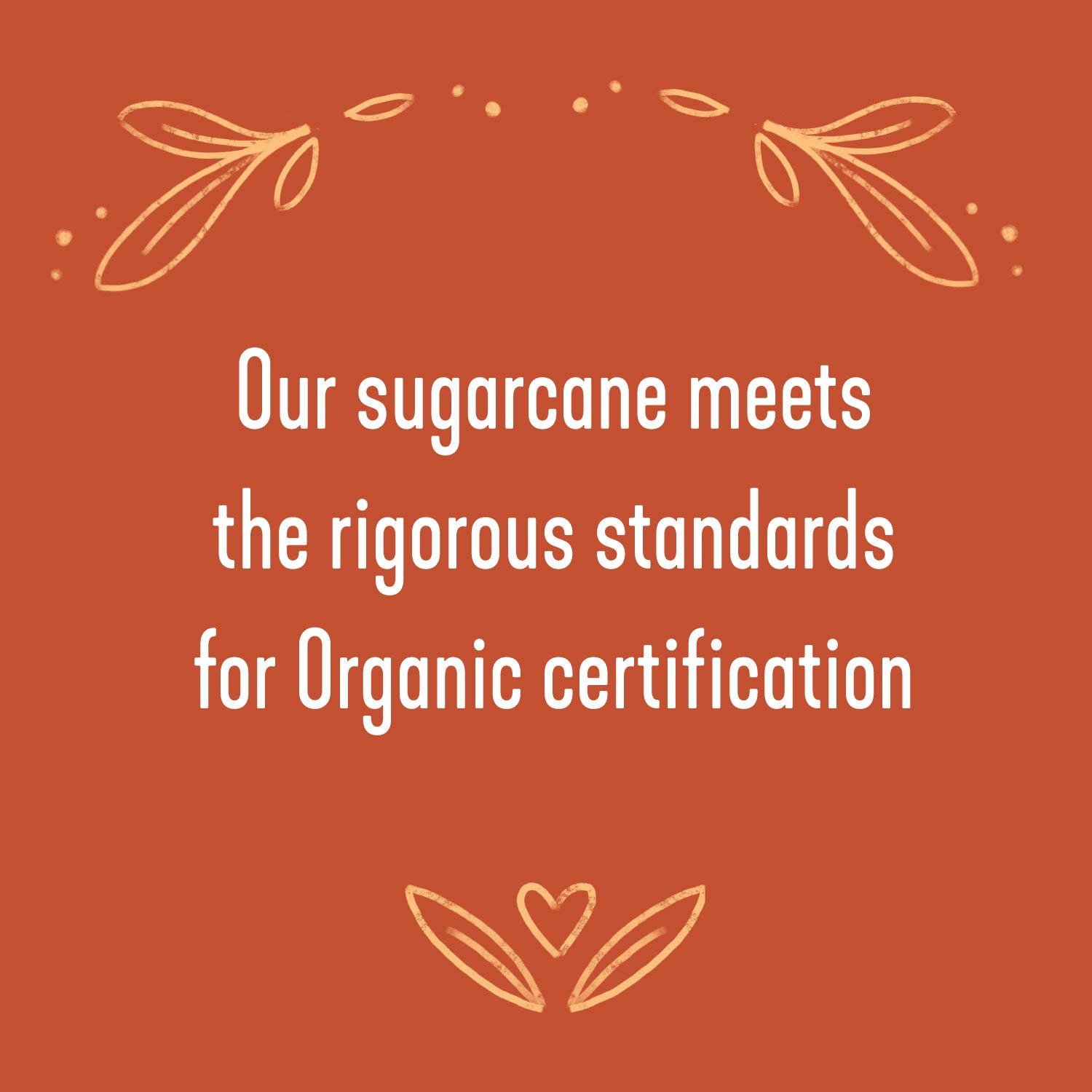 ORGANIC FAIR TRADE SUCANAT PANELA WHOLE CANE SUGAR