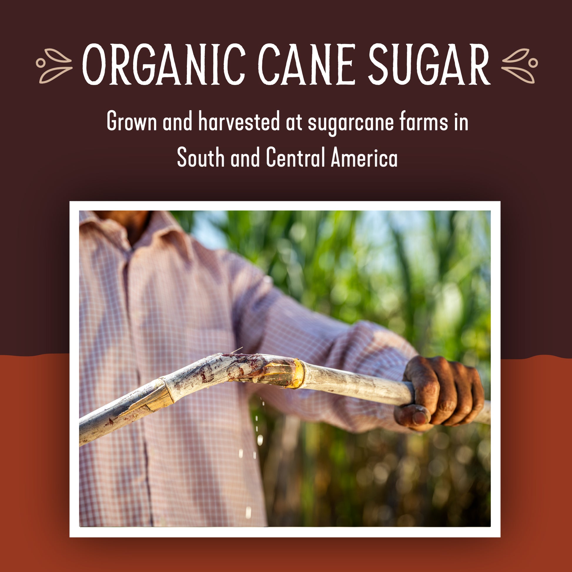 ORGANIC CANE SUGAR WITH VANILLA